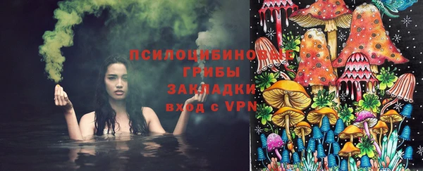 соль ск Верхний Тагил