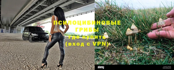 трава Верхнеуральск