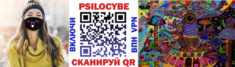 Псилоцибиновые грибы Psilocybe  Карачев 